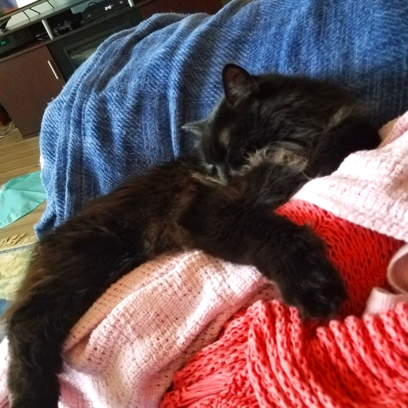 Meet your Posher, Jennifer - Picture 4 of 5